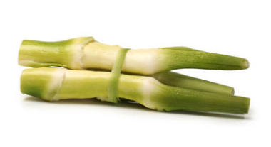 在白色背景上茭圖片