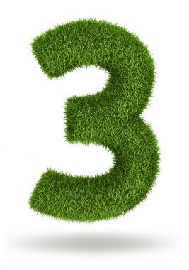 天然草數(shù) 3圖片
