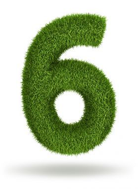 天然草數(shù) 6圖片