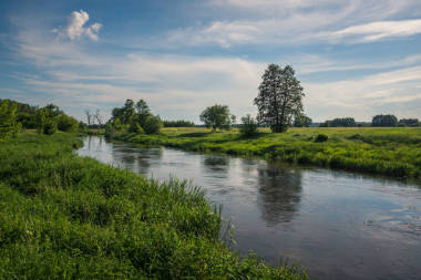 波兰 Masovie Glowaczow 附近的 radomka 河