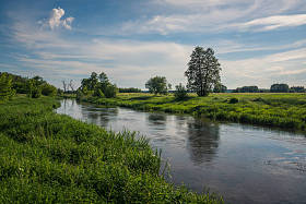 波兰 Masovie Glowaczow 附近的 radomka 河