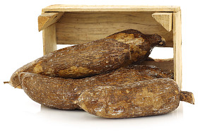 群的木薯根在木箱里图片