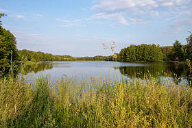 在阳光明媚的夏日，波兰中部森林环绕的美丽浅蓝色湖的风景