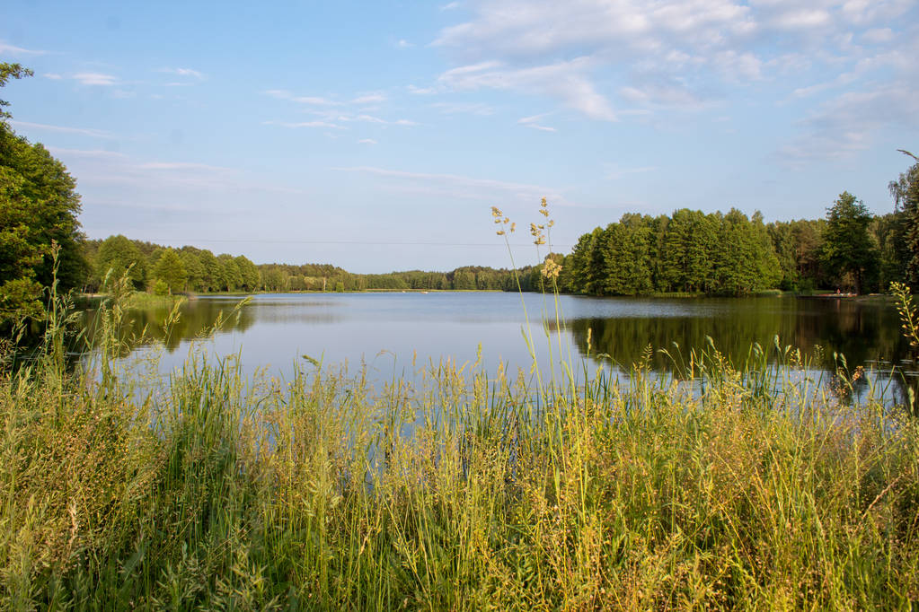 在阳光明媚的夏日，波兰中部森林环绕的美丽浅蓝色湖的风景
