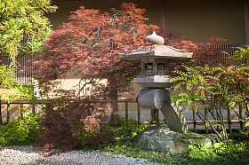 日本花园图片