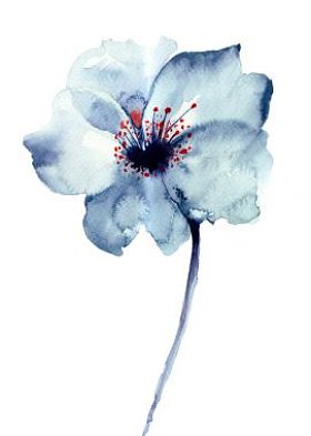装饰蓝色花照片
