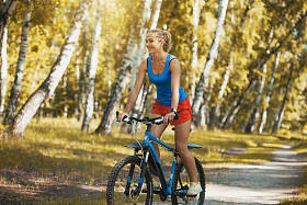 骑自行车山地自行车在白木森林小径