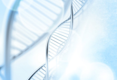 中醫(yī)學背景的 dna