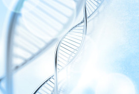 中医学背景的 dna