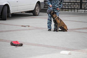 警官检查一个袋子与训练有素的狗