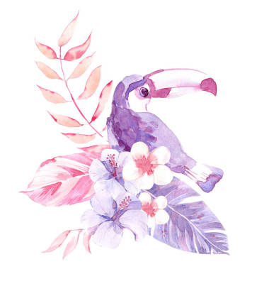 水彩熱帶成分與圖坎，花和葉子