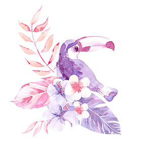 水彩热带成分与图坎，花和叶子