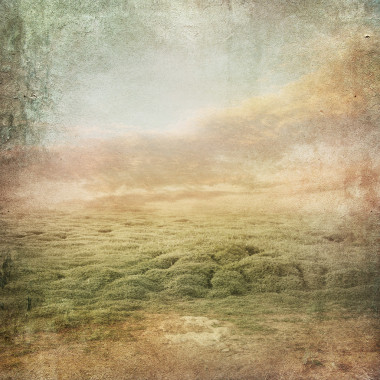 三叶草领域与复古风景背景