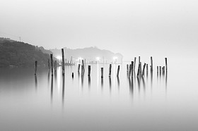 木头在水中，黑色和白色