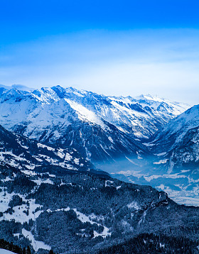 冬山.图片