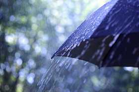 雨伞雨伞