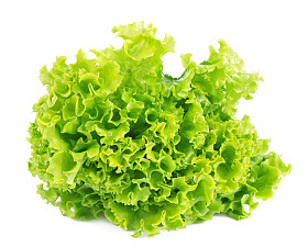 孤立的生菜图片