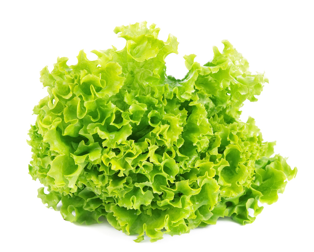 孤立的生菜图片
