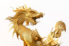 在白色背景上的金龙雕像图片