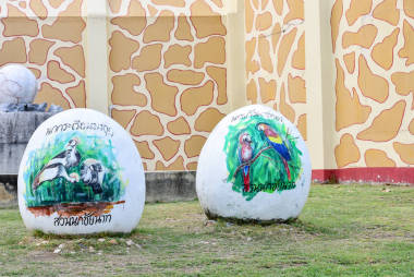 柴納特 泰國 十二月 26 2019 看到鳥在 柴納特鳥帕