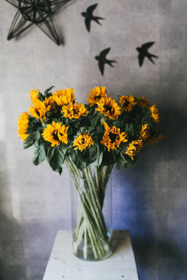 黃色小向日葵花束特寫