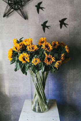 黄色小向日葵花束特写