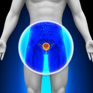 医用 x 射线扫描-膀胱图片