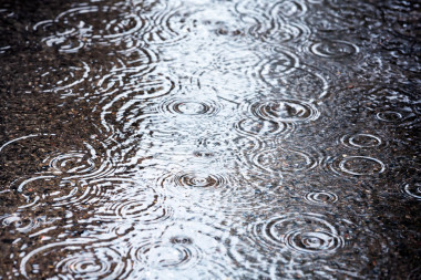 雨水坑圖片