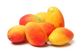 在白色背景上的芒果照片