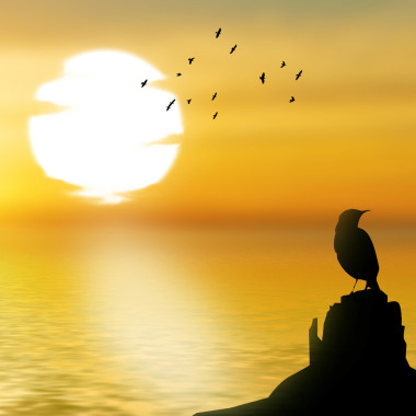 鳥飛過河