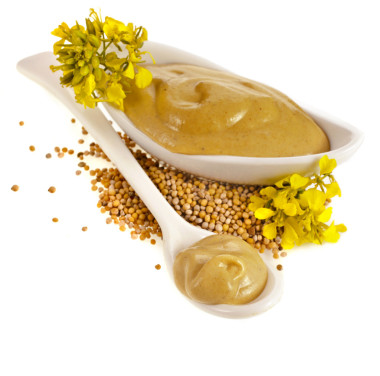 芥末菜醬、 種子和芥末花