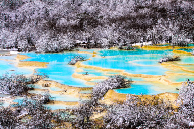 黄长的公园照片