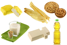 不同大豆 (大豆) 产