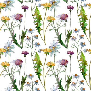 野花花卉植物花。野生春叶野花。水彩插图集。水彩画时尚水瓶座。无缝的背景模式。织物壁纸打印纹理