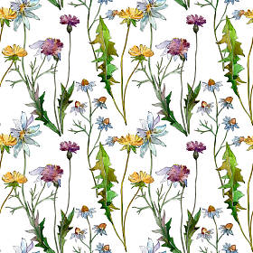 野花花卉植物花。野生春叶野花。水彩插图集。水彩画时尚水瓶座。无缝的背景模式。织物壁纸打印纹理