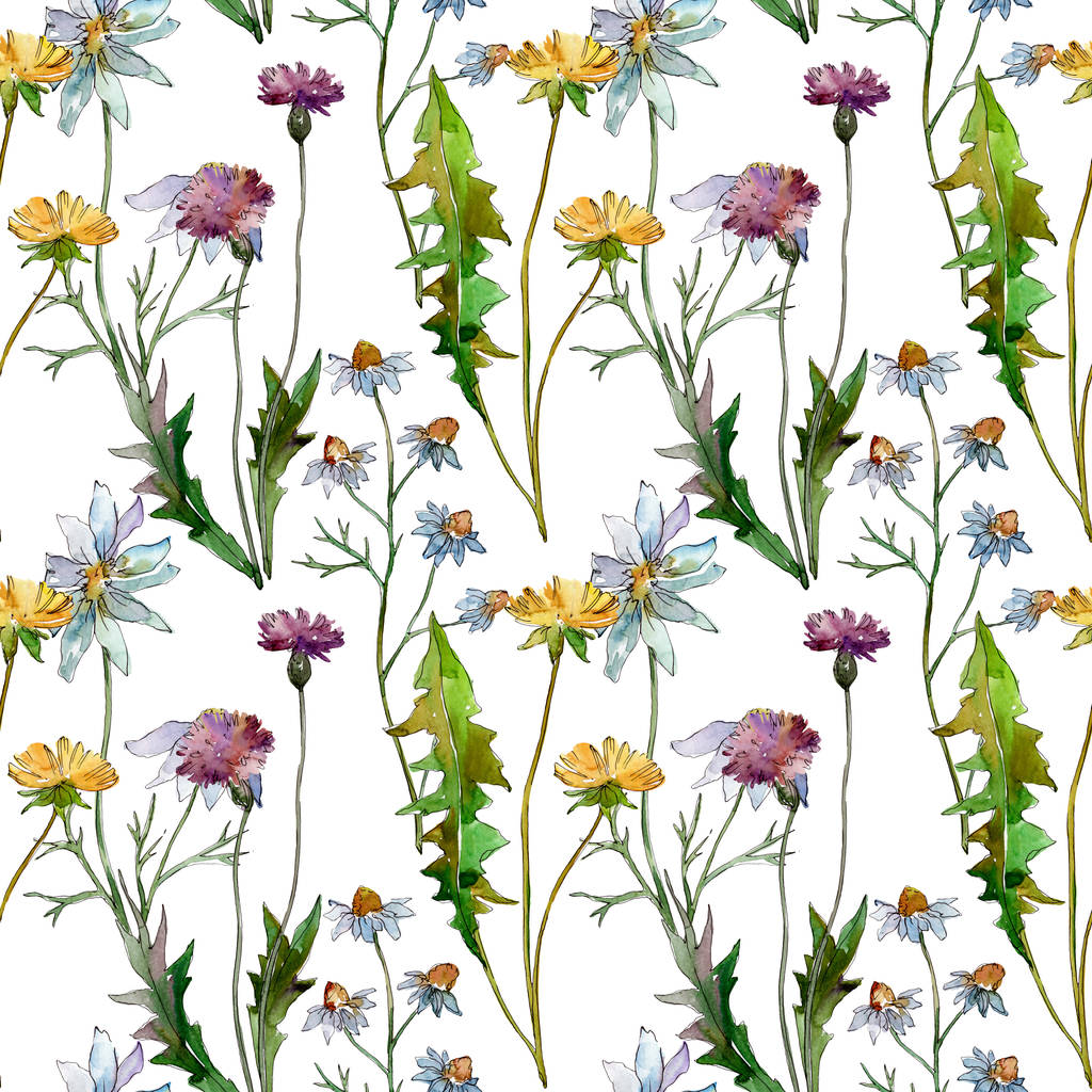 野花花卉植物花。野生春叶野花。水彩插图集。水彩画时尚水瓶座。无缝的背景模式。织物壁纸打印纹理