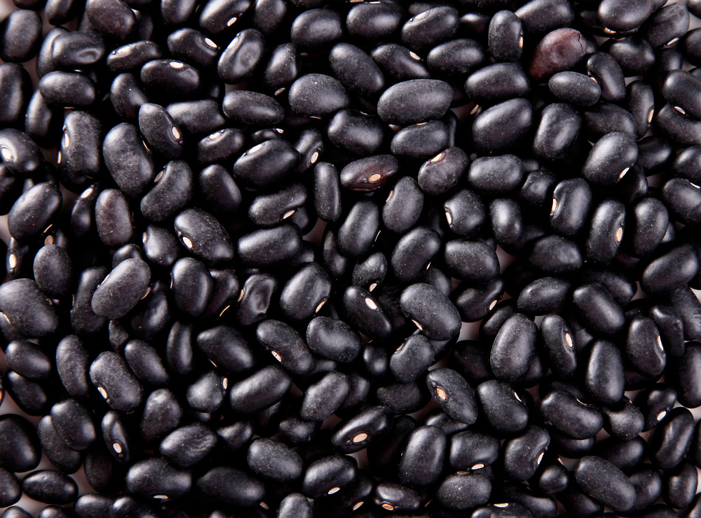 豆图片 豆图片