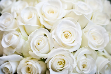 brollop blommor婚礼之花