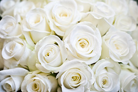 brollop blommor婚礼之花