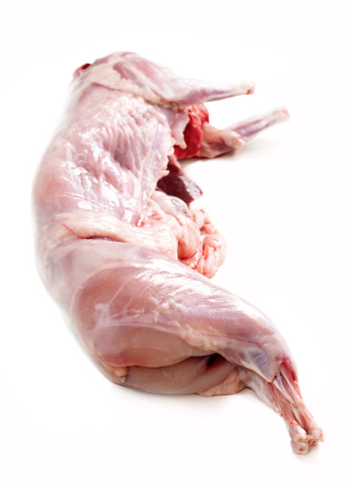 原料新鲜屠体的兔隔离在白，半身