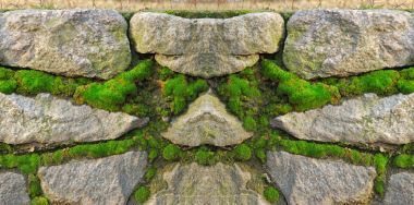 石頭砌的墻，成為綠色的青苔