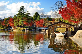 秋天树叶在名古屋日本图片