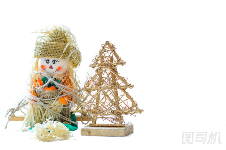 雪與圣誕樹的人