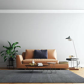 室内客厅墙背景模型与家具和装饰