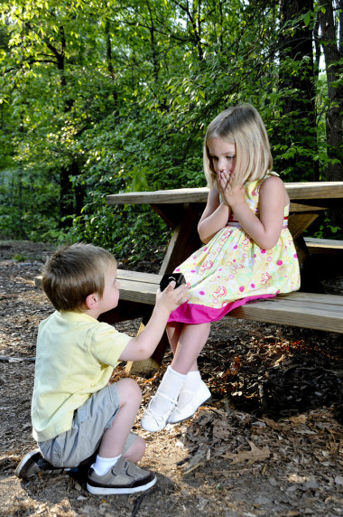 婚姻的提案图片