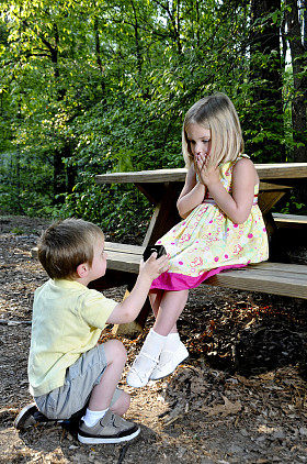 婚姻的提案图片