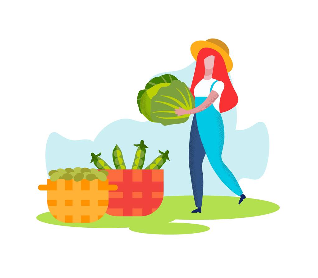 女农民把白菜带到篮子里,收获 女农民把白菜带到篮子里,收获