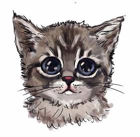 可爱的猫最好的T恤印花。服装设计的儿童插图。动画打印。美丽的小猫在白色背景，画手