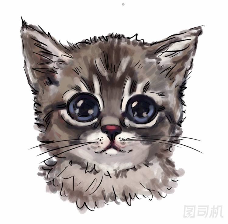可愛(ài)的貓最好的T恤印花。服裝設(shè)計(jì)的兒童插圖。動(dòng)畫(huà)打印。美麗的小貓?jiān)诎咨尘?，?huà)手