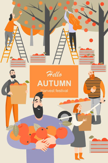 人們摘蘋果。用于設計傳單和橫幅的矢量插圖